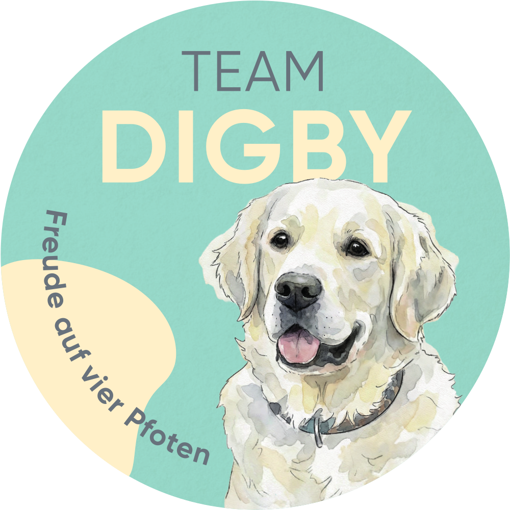TBH Team Digby